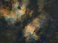 IMG_1235.JPG_compressed