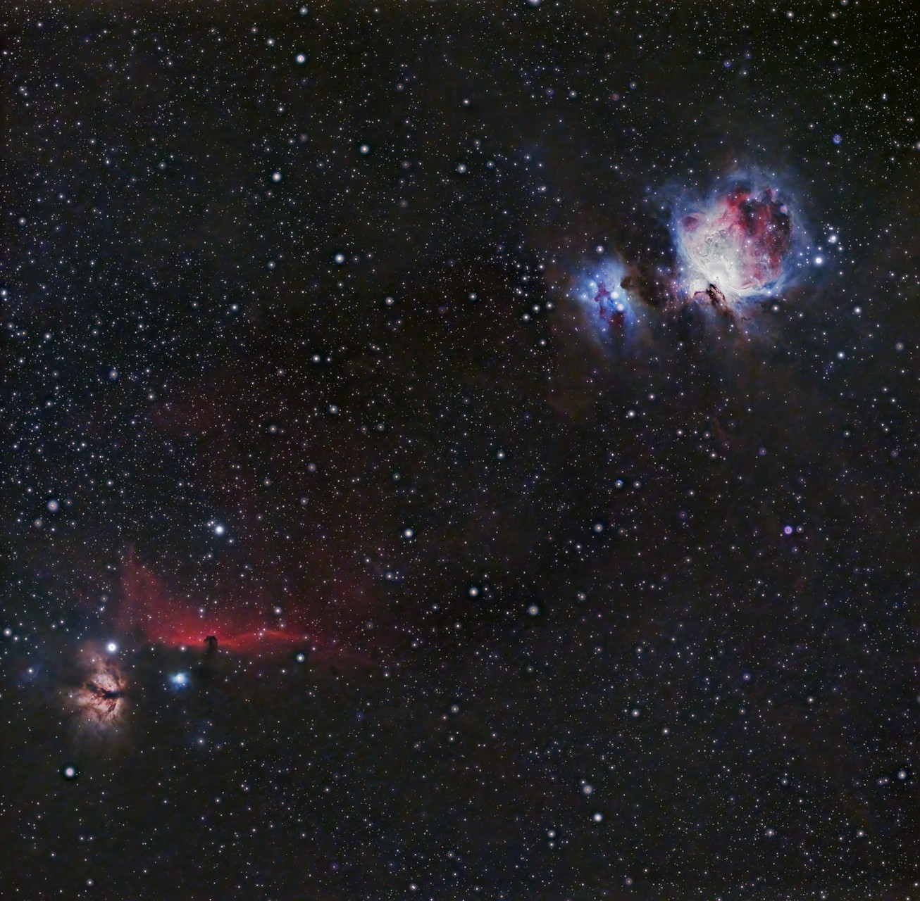 M42_IC434_Orion_and_Horsehead_Nebula_122823_533MC_Pro_135mm.jpg_compressed