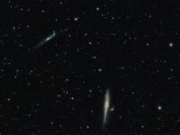 NGC4631_Whale_Galaxy_041023_Final.jpg_compressed